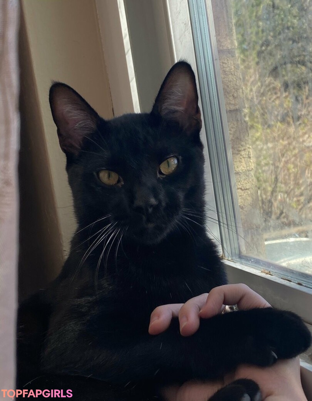 Foto desnuda filtrada de OnlyFans de Nikkiinatural #79 Foto desnuda filtrada de OnlyFans de Nikkiinatural #79