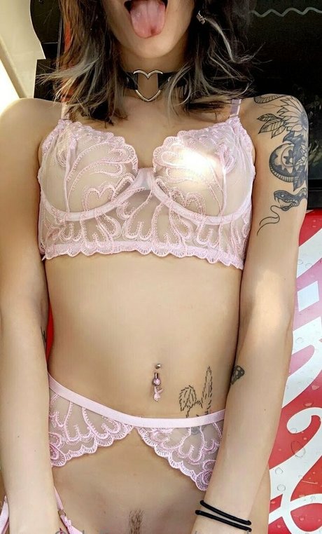 Cupoheaven