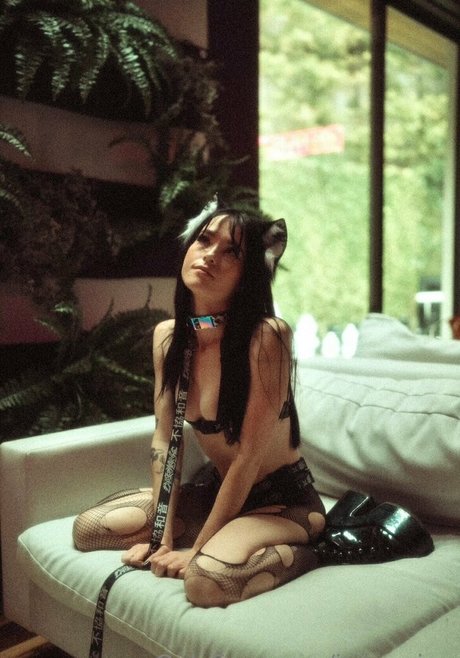 Ivyxquinn