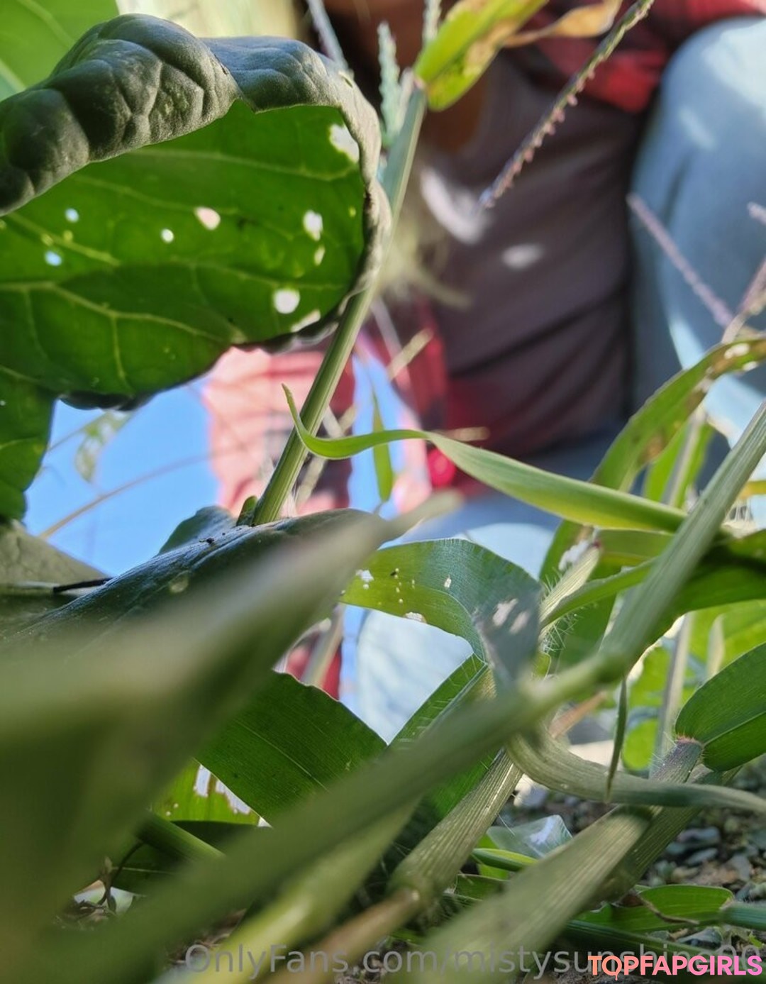 Foto desnuda filtrada de OnlyFans de Mistysunshine00 #11 Foto desnuda filtrada de OnlyFans de Mistysunshine00 #11