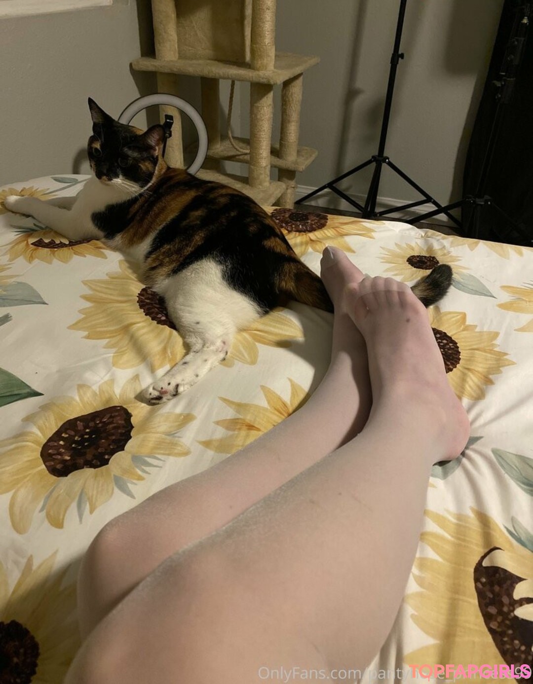 Foto desnuda filtrada de OnlyFans de Pantyhoseprincess99 #615 Foto desnuda filtrada de OnlyFans de Pantyhoseprincess99 #615