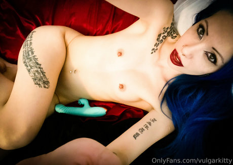 Vulgarkitty