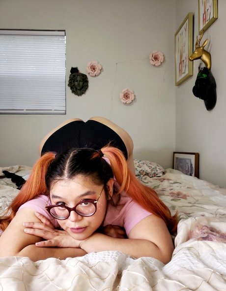 Peekscalymedusa