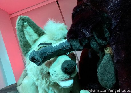 Angel_pups