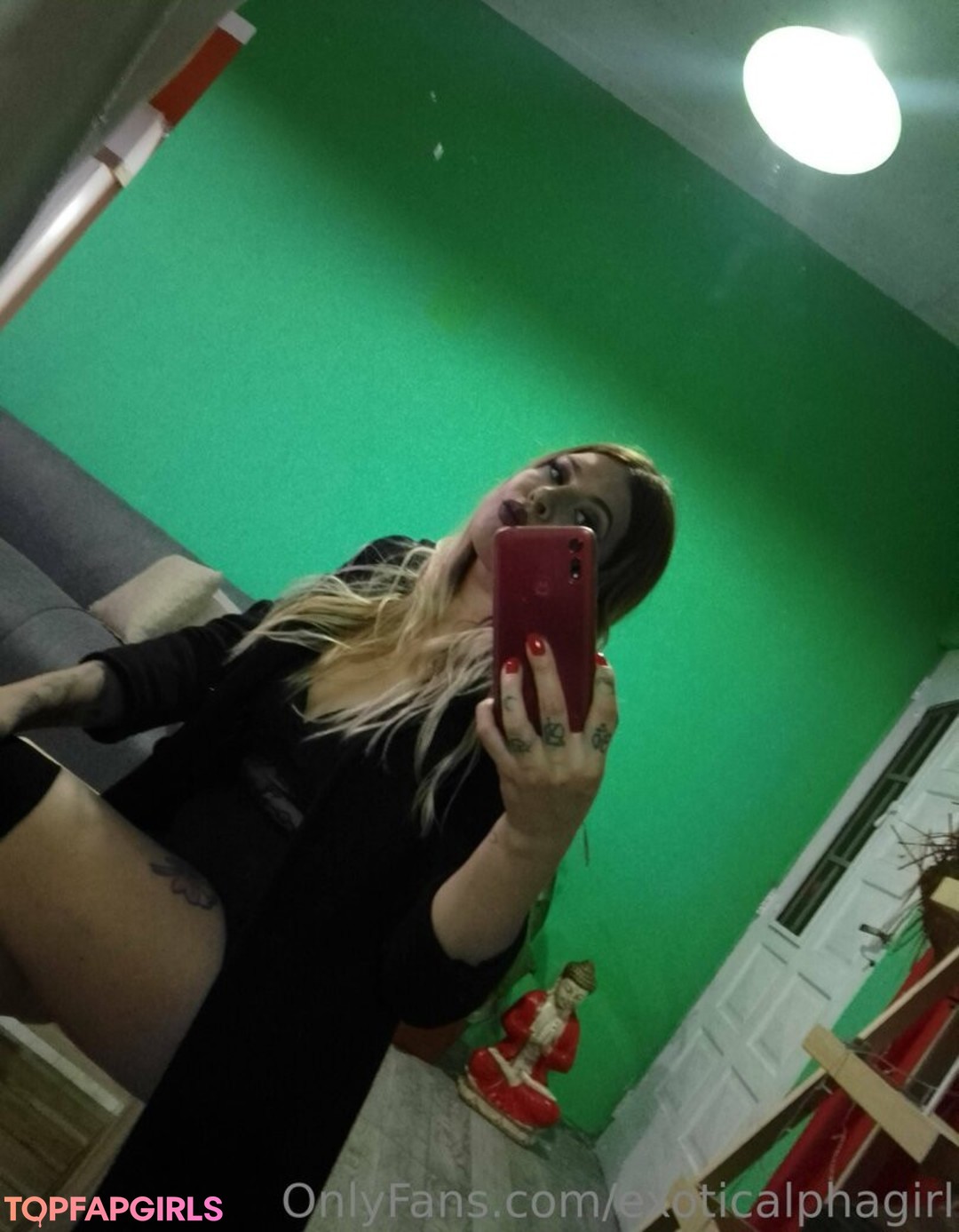 Foto desnuda filtrada de OnlyFans de Exoticalphagirl #30 Foto desnuda filtrada de OnlyFans de Exoticalphagirl #30