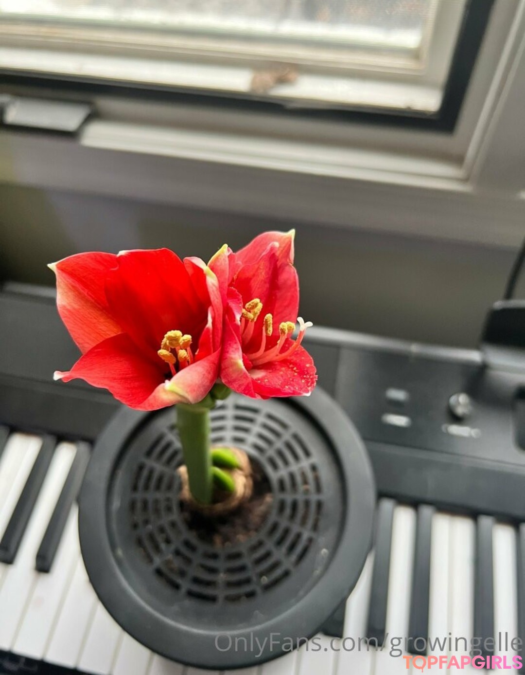 Foto desnuda filtrada de OnlyFans de Growingellex #138 Foto desnuda filtrada de OnlyFans de Growingellex #138