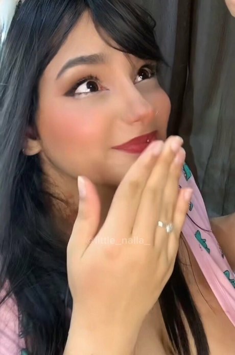 Nallinha