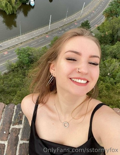 Sstormyfox