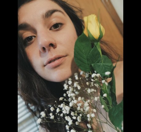 Laurettavixen