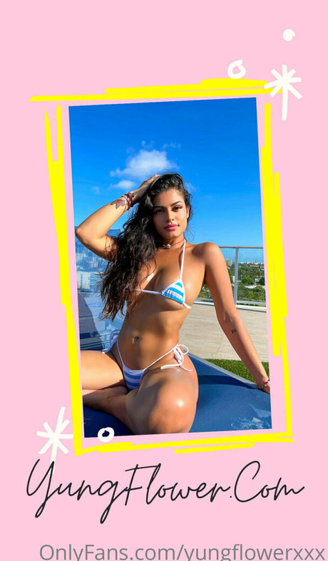 Stellastarrr