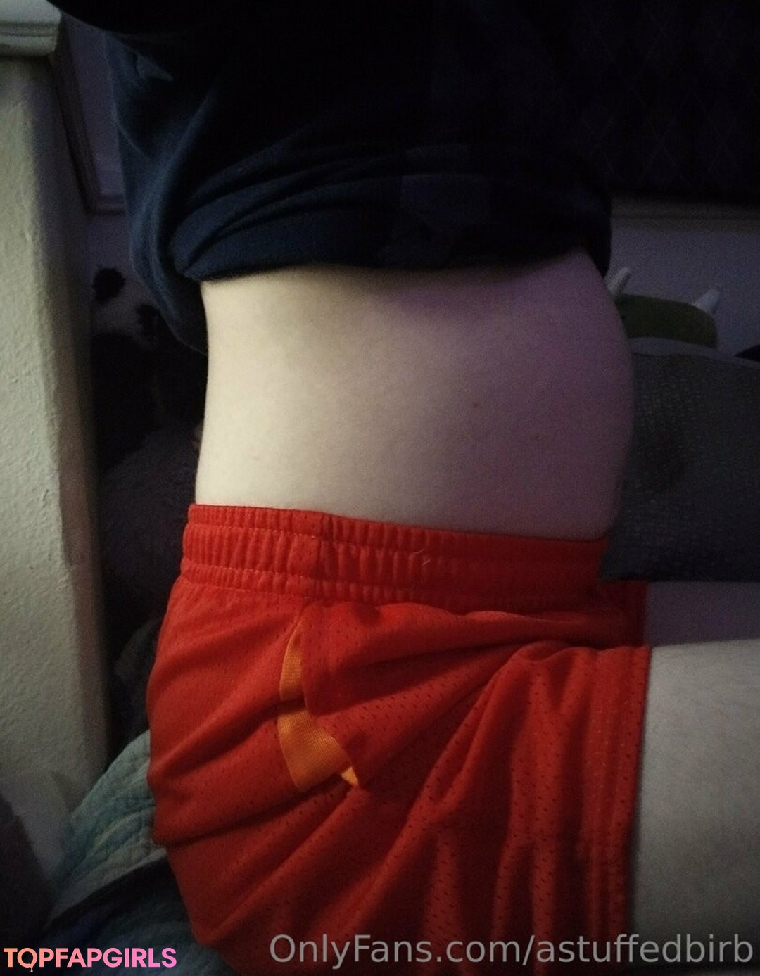 Foto desnuda filtrada de OnlyFans de Astuffedbirb #104 Foto desnuda filtrada de OnlyFans de Astuffedbirb #104