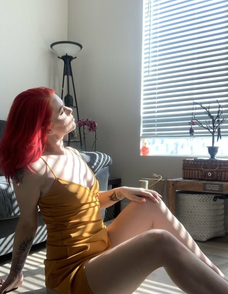 Lanilonglegs