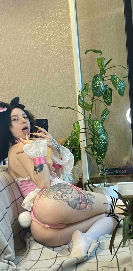 Misakimeii