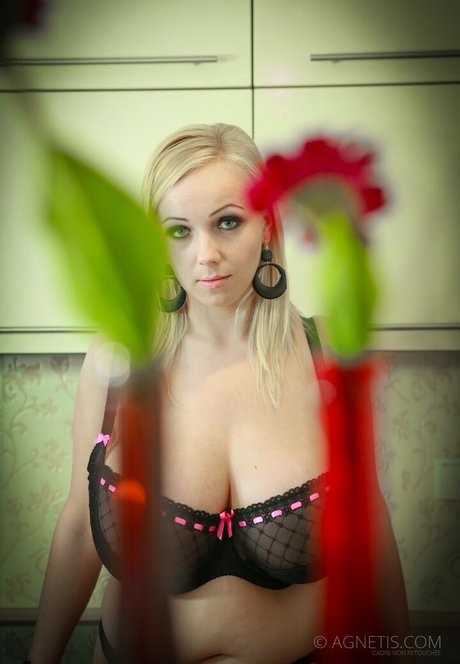 Agnetis Miracle