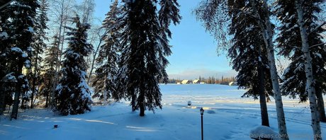 Snow.bunny907