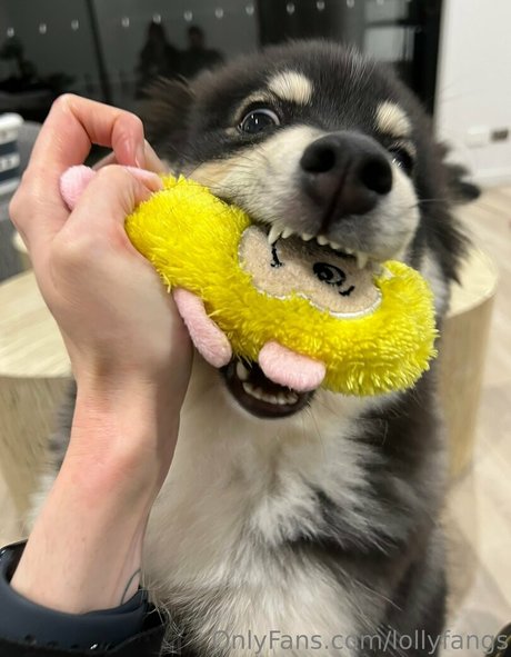 Lollyfangs