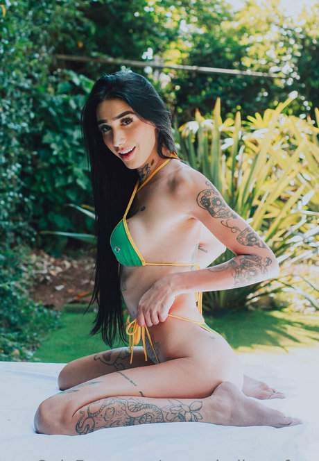 Marceladimovfree