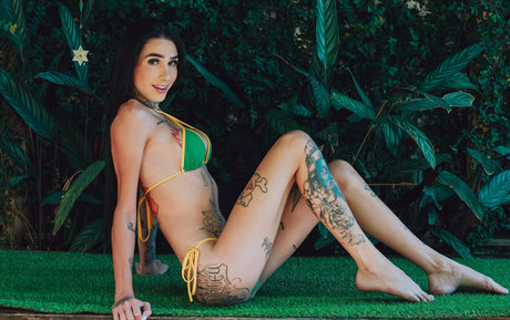 Marceladimovfree