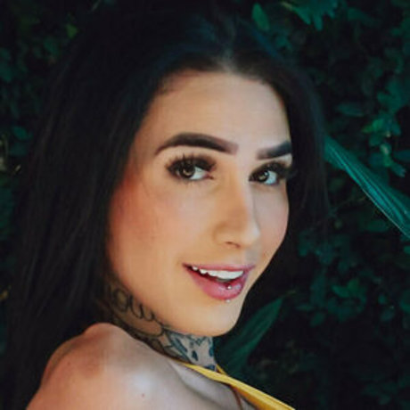 Marceladimovfree