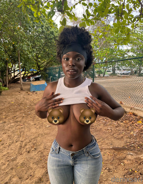 Denixsarifree