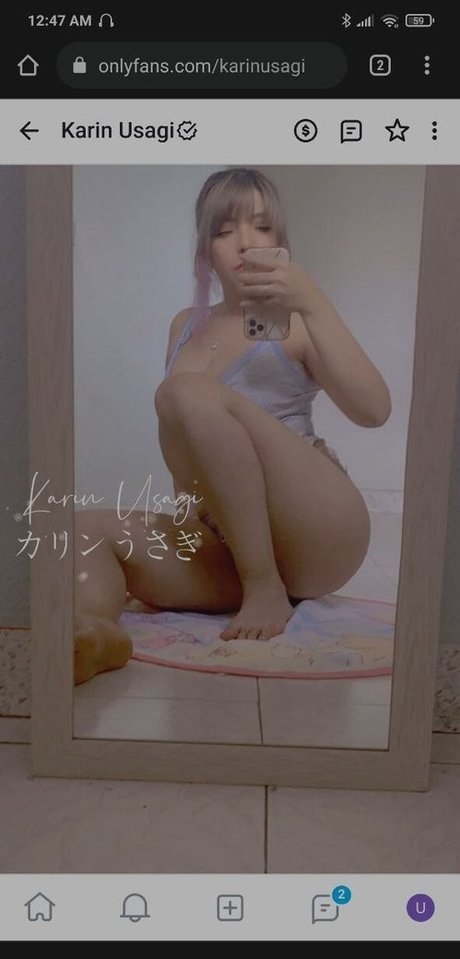 Karin Usagi