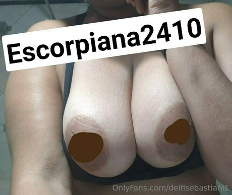 Delfisebastiani1