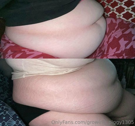 Growingpiggy1305