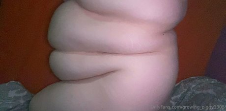 Growingpiggy1305