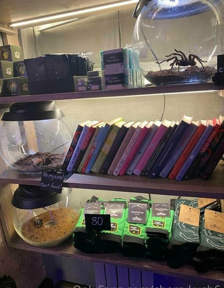 Cherrykush6