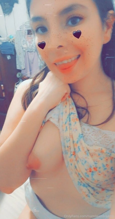 Namiwetdreams