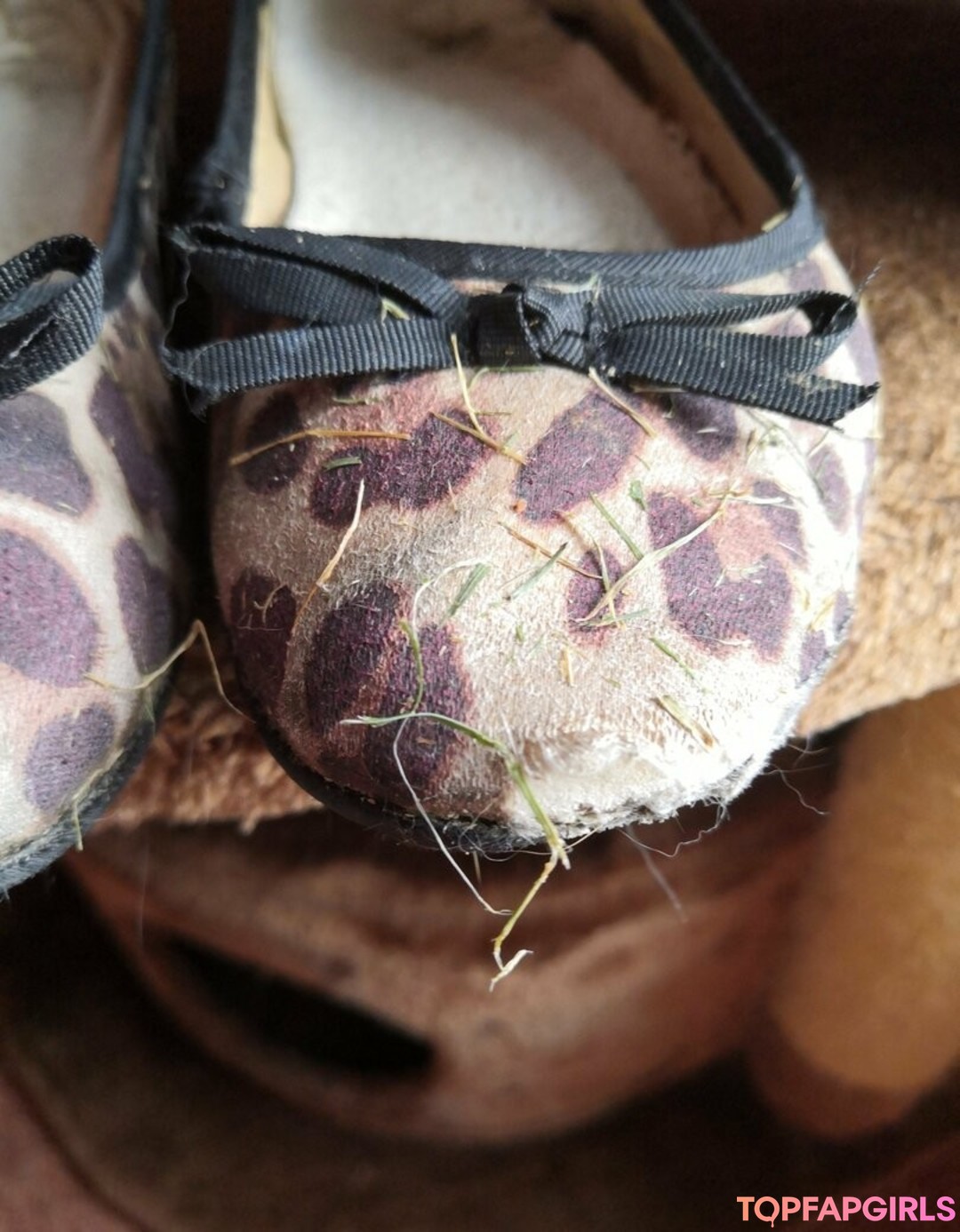 Foto desnuda filtrada de OnlyFans de Misssoletrader #88 Foto desnuda filtrada de OnlyFans de Misssoletrader #88