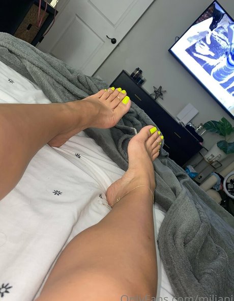 Miliani