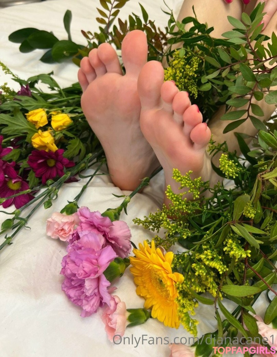 Foto desnuda filtrada de OnlyFans de Dianacane1 #3 Foto desnuda filtrada de OnlyFans de Dianacane1 #3