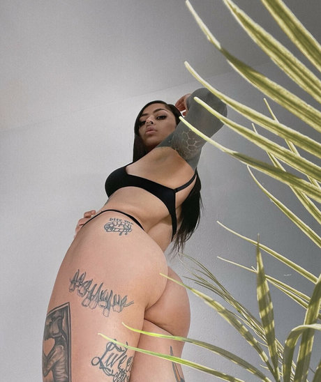 Meganinked