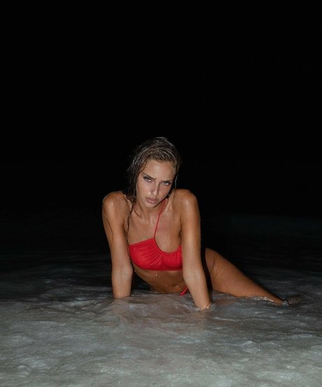 Neta Alchimister