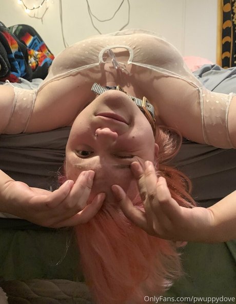 Pwuppydove