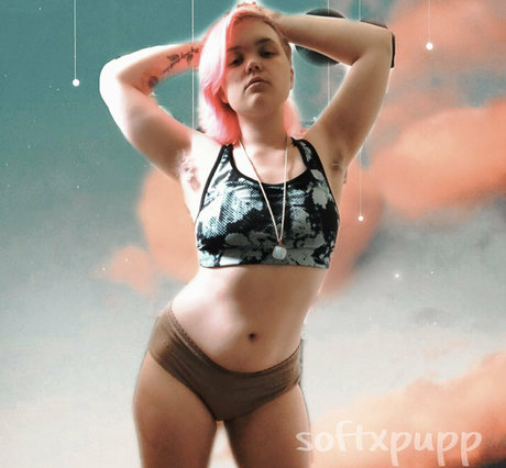 Pwuppydove