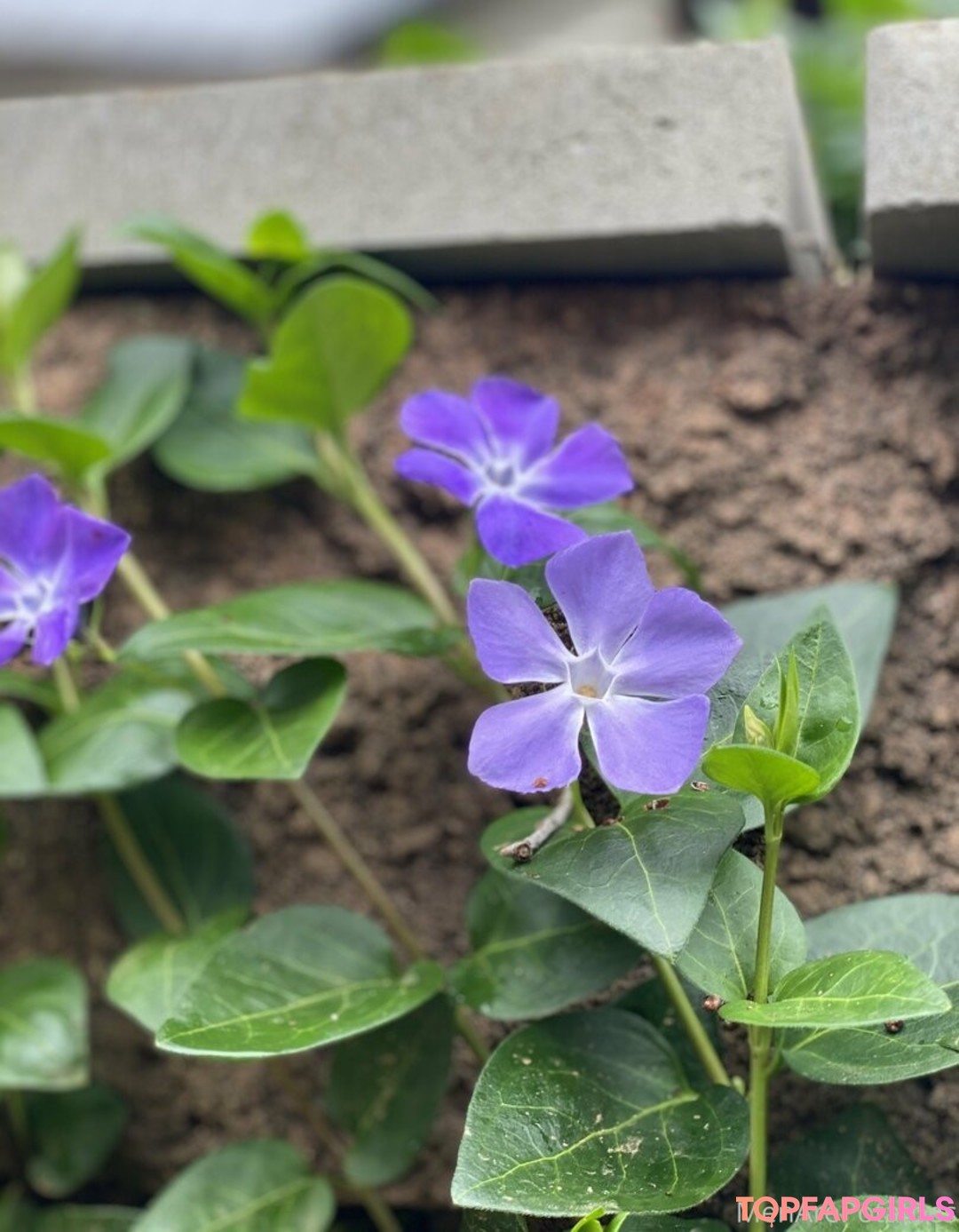 Foto desnuda filtrada de OnlyFans de Menarepotatoes #34 Foto desnuda filtrada de OnlyFans de Menarepotatoes #34