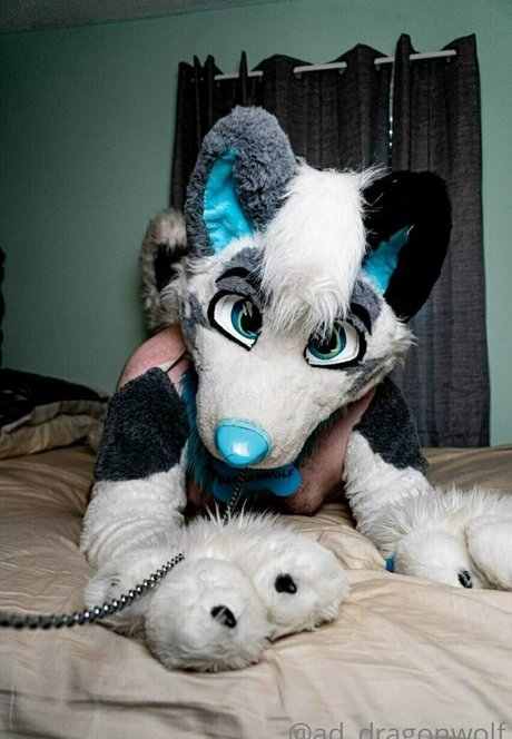 Addragonwolf