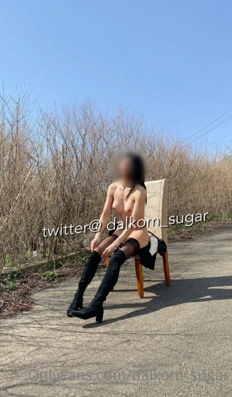 Dalkomsugar