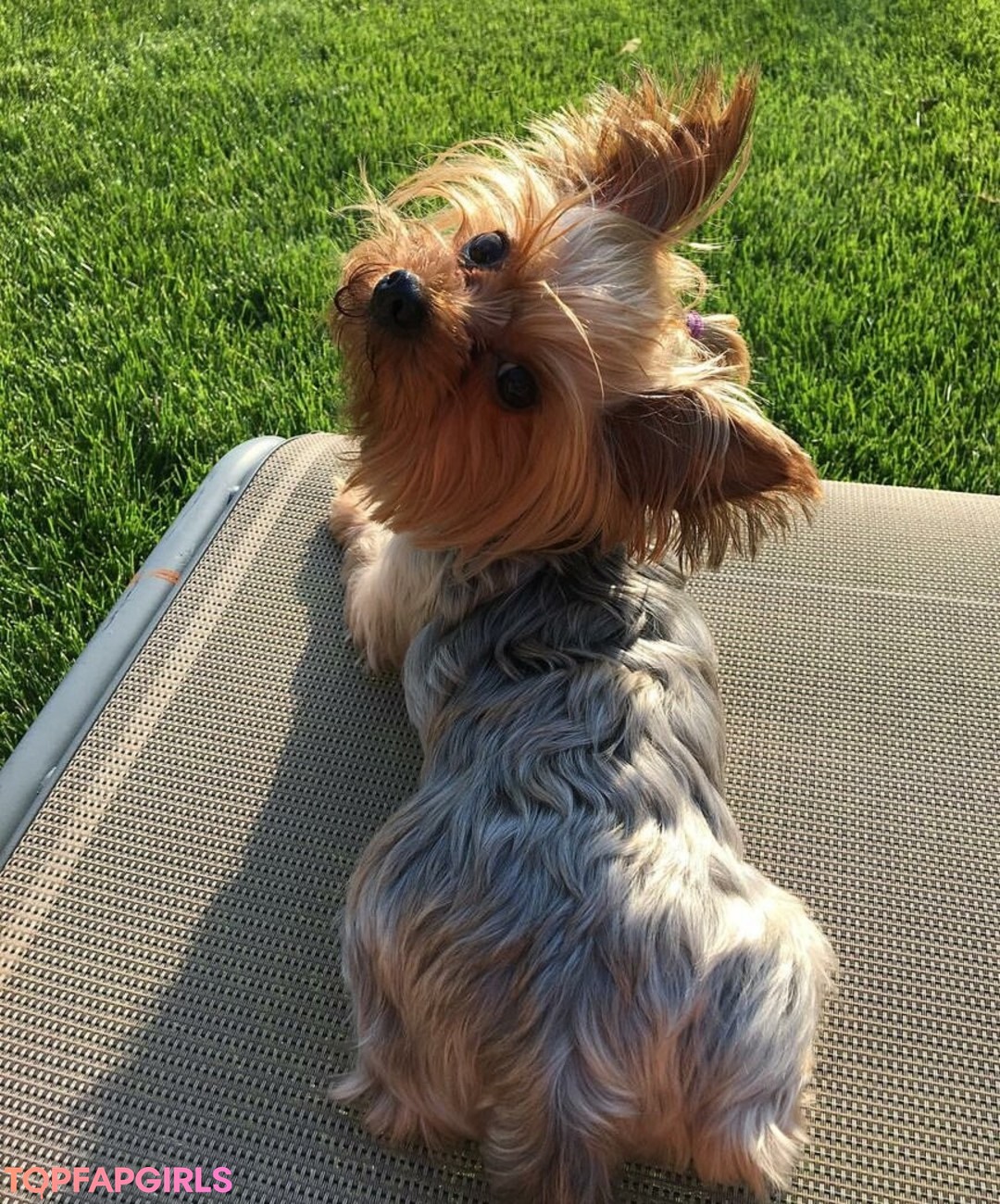 Foto desnuda filtrada de OnlyFans de Andrea Marie #310 Foto desnuda filtrada de OnlyFans de Andrea Marie #310