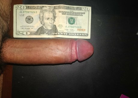 Ariesuncut