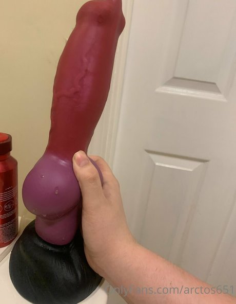 Arctos651