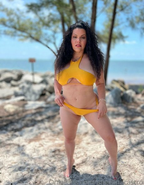 Angelinacastro