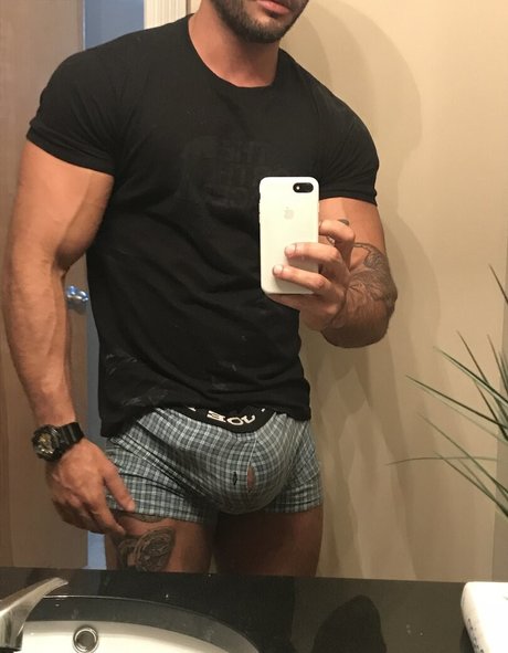 Thefackelmayer