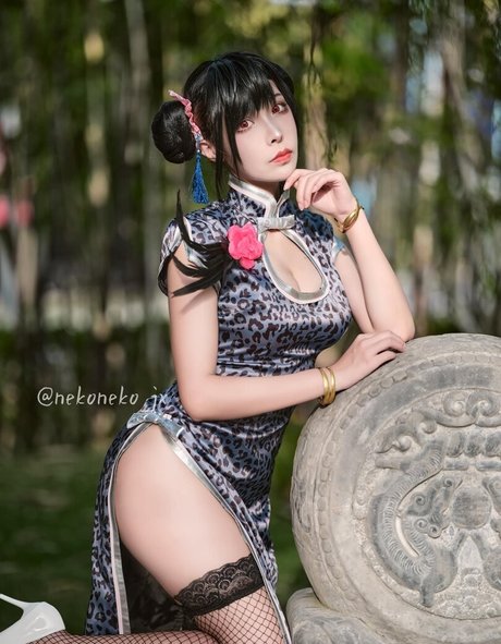 Nekoneko Jx