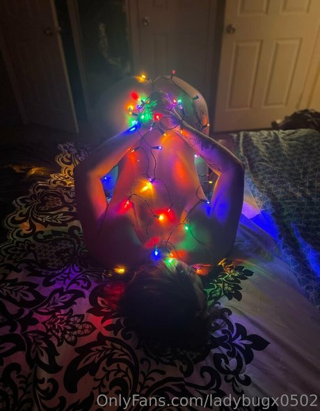 Ladybugx0502