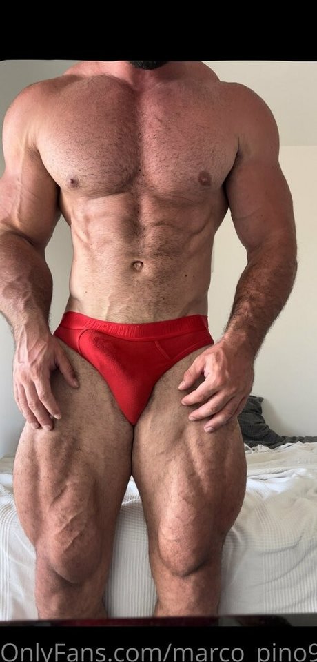 Marcopino91