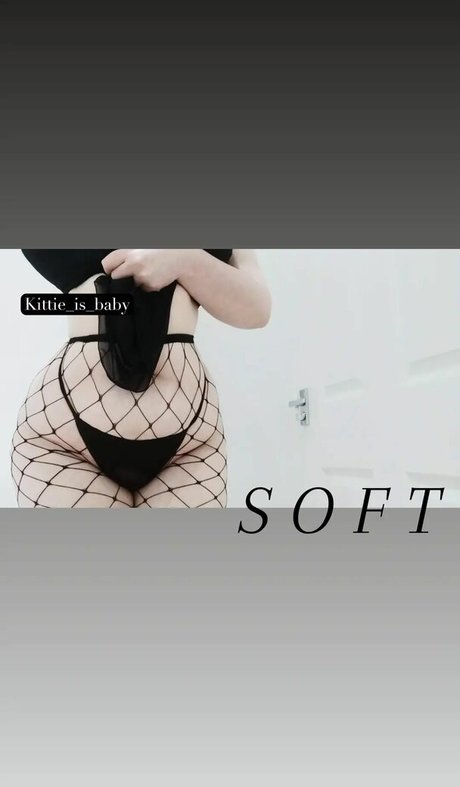 Softkittn