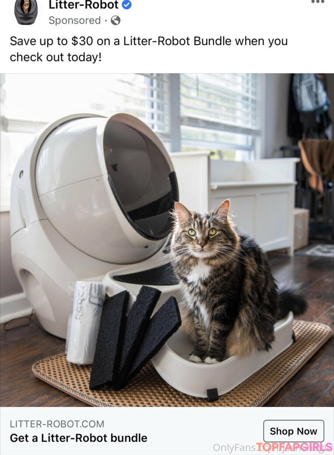 Foto desnuda filtrada de OnlyFans de Jasminegtv #139 Foto desnuda filtrada de OnlyFans de Jasminegtv #139